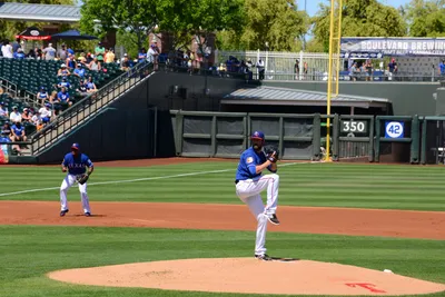 DSC_1731 (Large).JPG